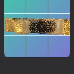 Lush Gold Sequin Belt With Antique Style Bronze Buckle—Maximalist Mayhem one sz